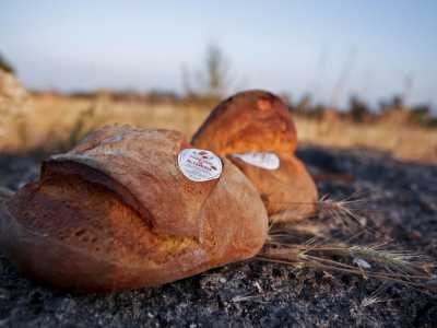 Il pane di Altamura (foto di Nikotota)